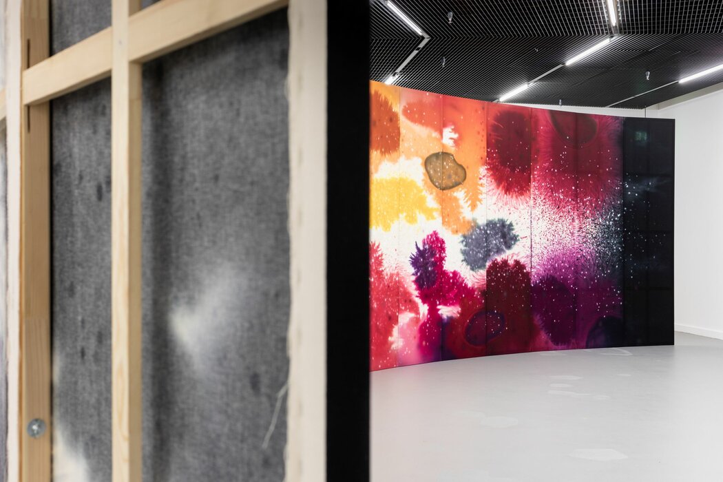 first second patience, Lucerne