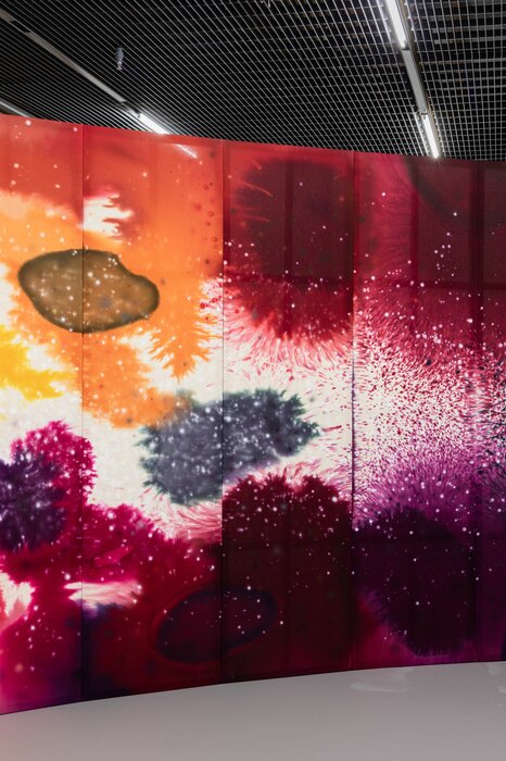 first second patience, Lucerne