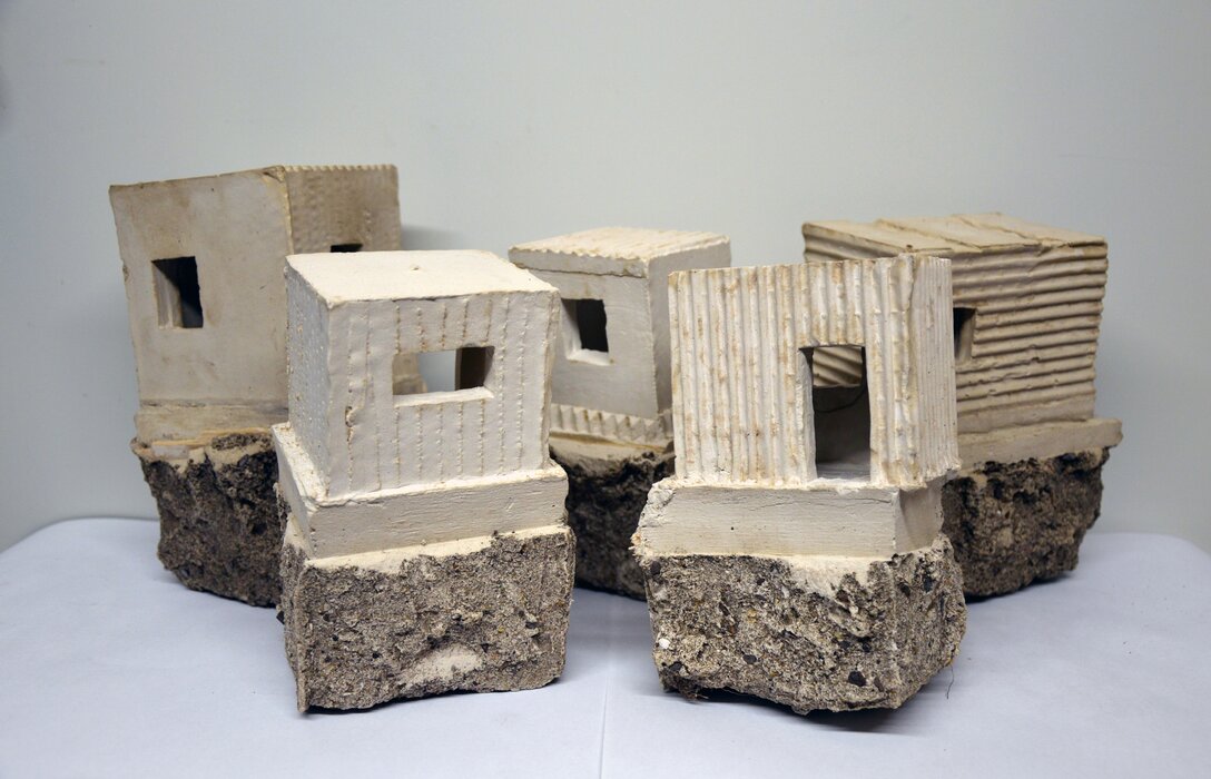 Cellar Shed Edition 5