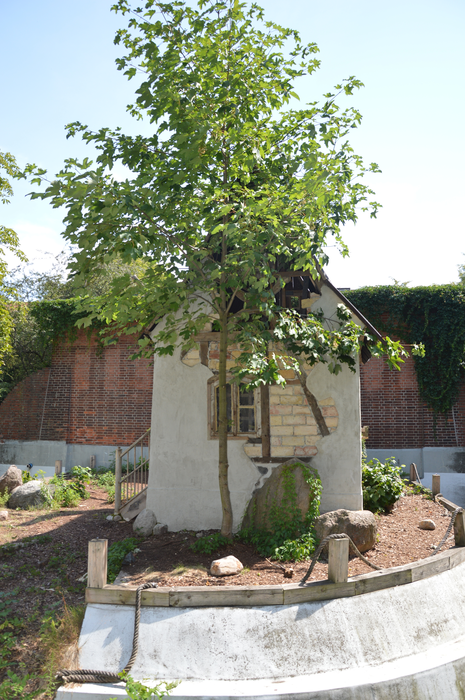 A House on Stones on an Island