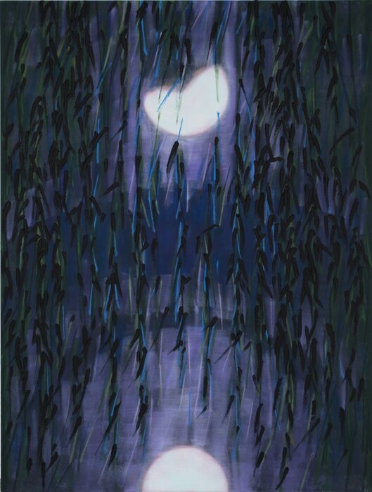 Kunsthalle Darmstadt: Robert Zandvliet - Paradaidha