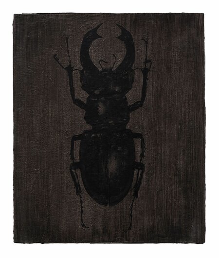 Detected Dictionary (Hirschkäfer)