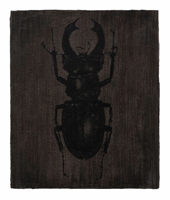 Detected Dictionary (Hirschkäfer)