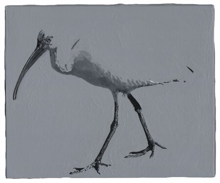 Detected Dictionary (Ibis 2)