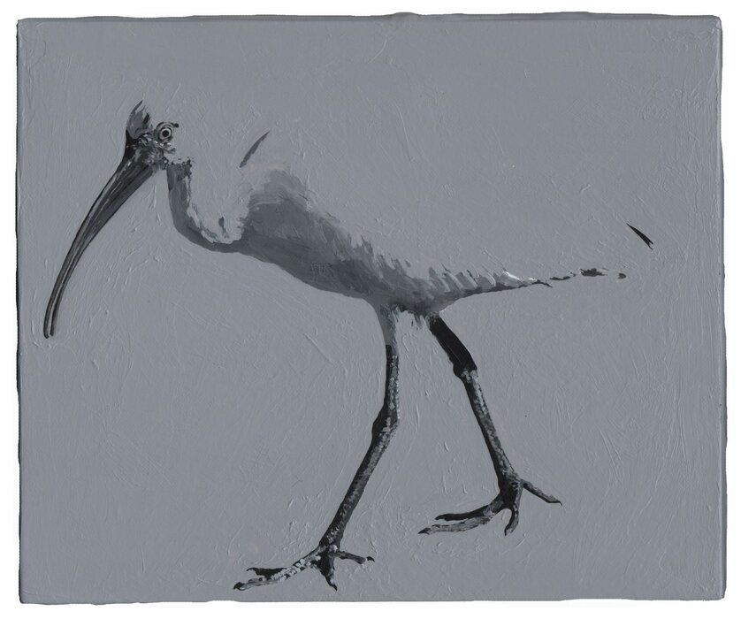 Detected Dictionary (Ibis 2)