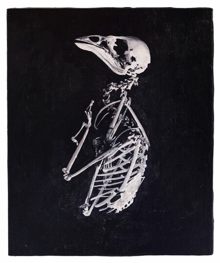 Detected Dictionary (Vogelskelett)