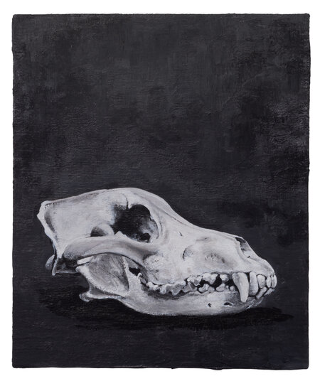 Detected Dictionary (Wolfsschädel)