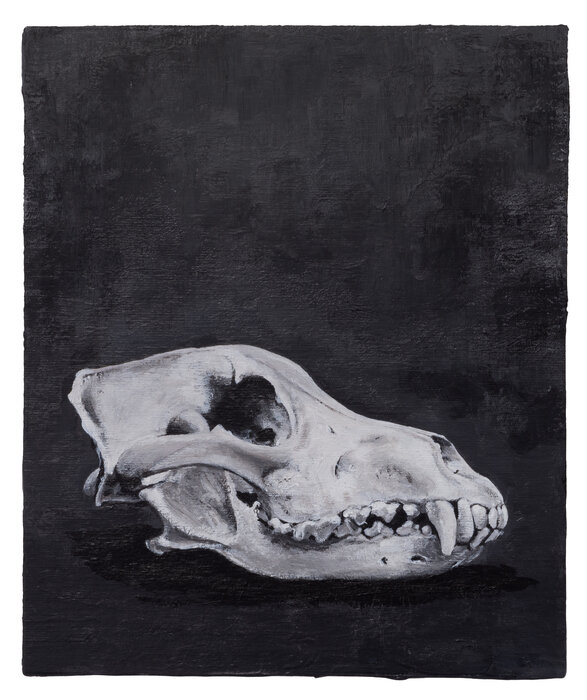 Detected Dictionary (Wolfsschädel)