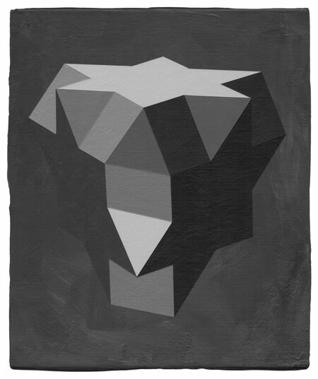 Detected Dictionary (Polyeder 5)