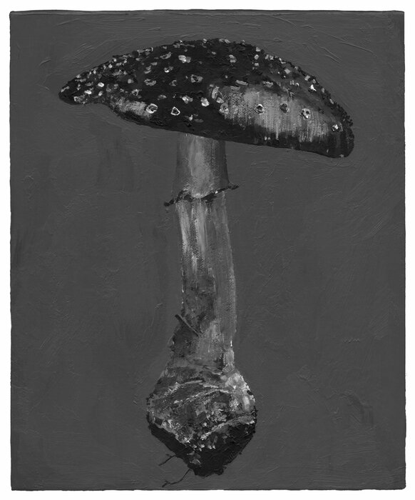 Detected Dictionary (Pilz 1)