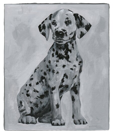 Detected Dictionary (Dalmatiner)