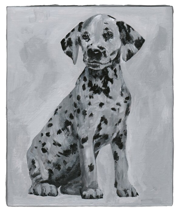 Detected Dictionary (Dalmatiner)