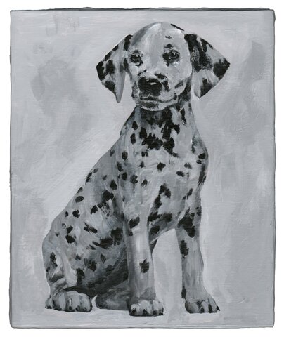 Detected Dictionary (Dalmatiner)