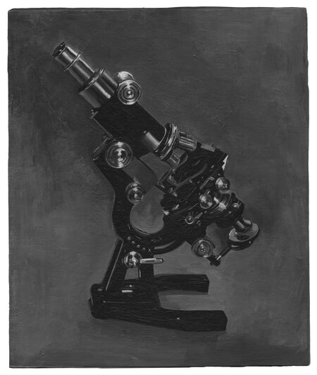 Detected Dictionary (Mikroskop 3)