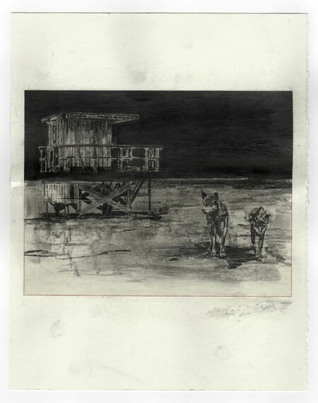 The Occurrence, 19.02.2013