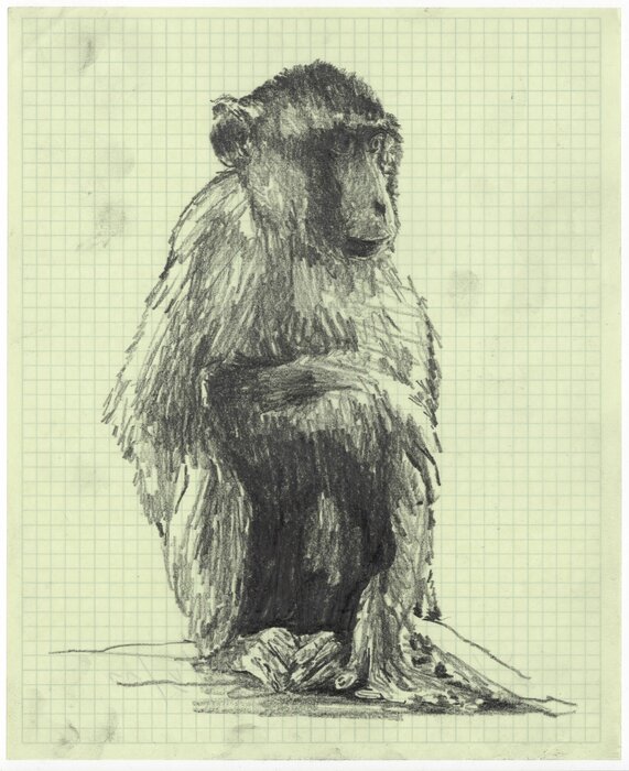 Untitled, 02.05.2011