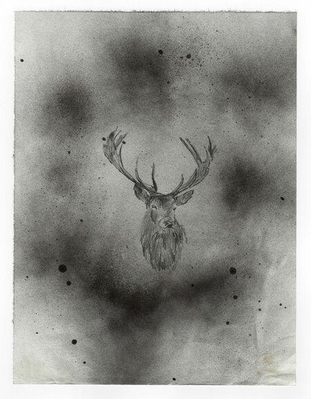 Untitled, 07.07.2013