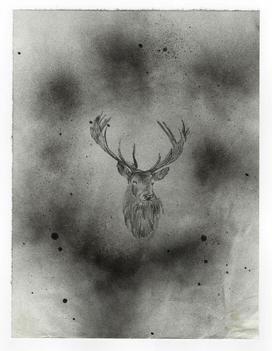 Untitled, 07.07.2013