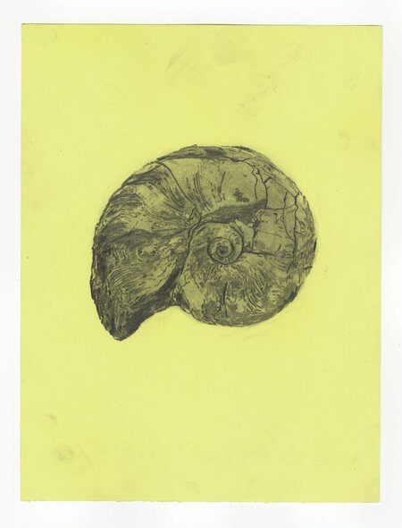 Untitled, 14.02.2013