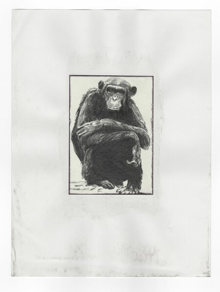 Untitled, 15.02.2013