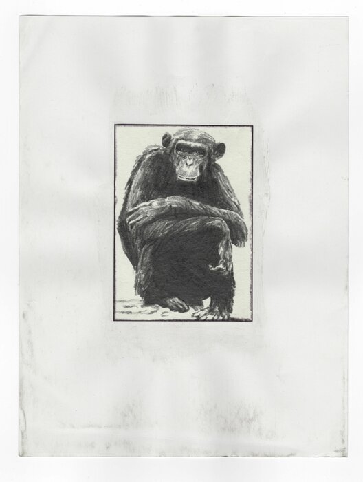 Untitled, 15.02.2013