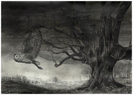 The Occurrence 21.09.2011