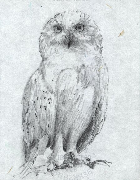 Untitled, 14.09.2009