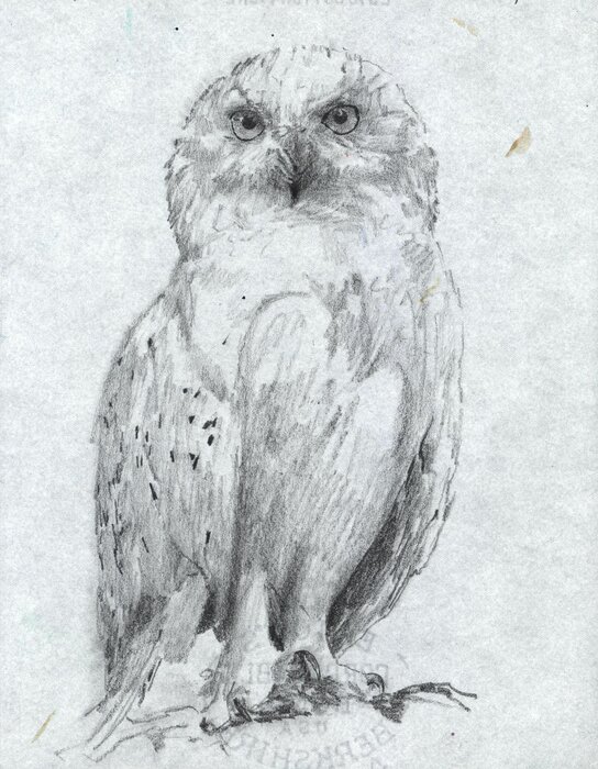 Untitled, 14.09.2009