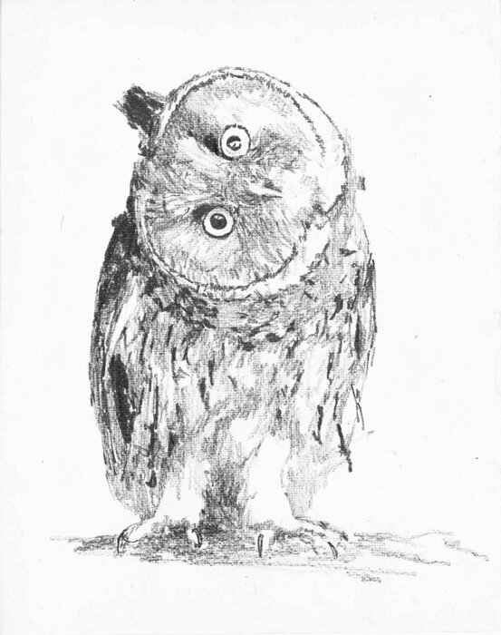 Untitled, 15.09.2009