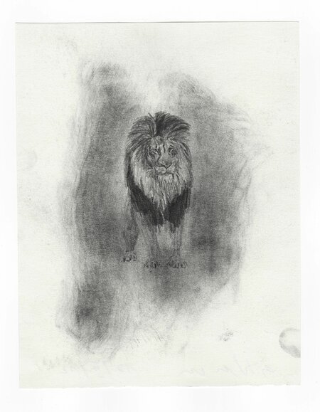 Untitled, 17.02.2012