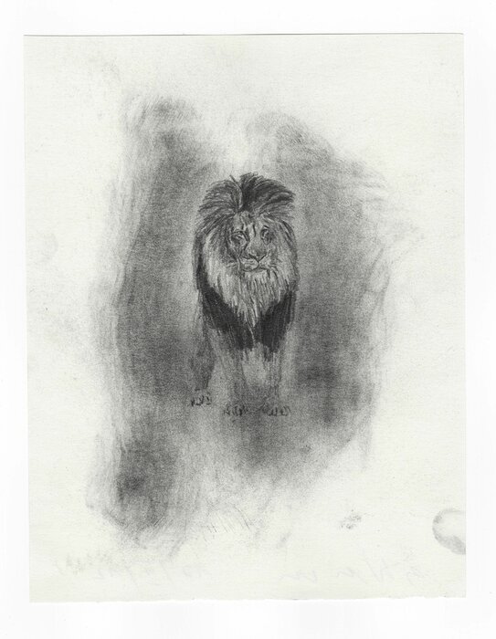 Untitled, 17.02.2012