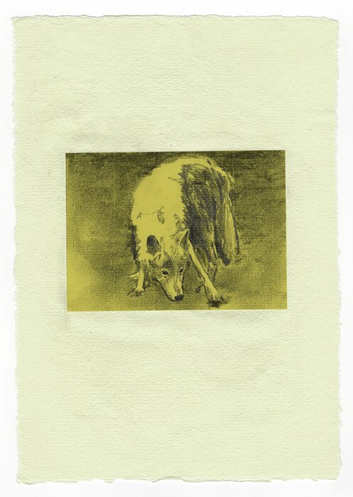 Untitled, 24.02.2013