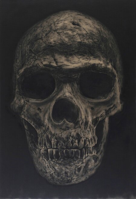 Anthropology Now (Ecce homo sapiens)