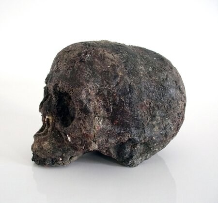 Homo Helveticus 1, 2022