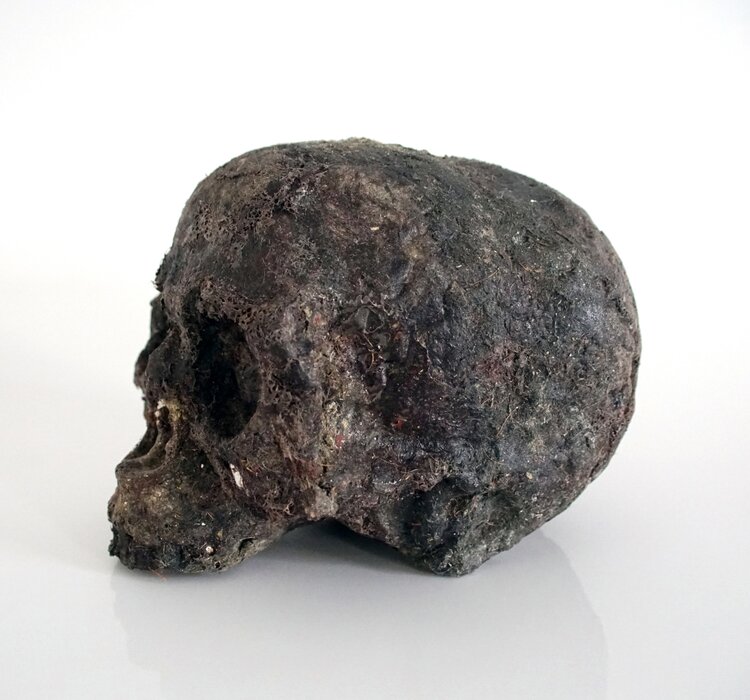 Homo Helveticus 1, 2022