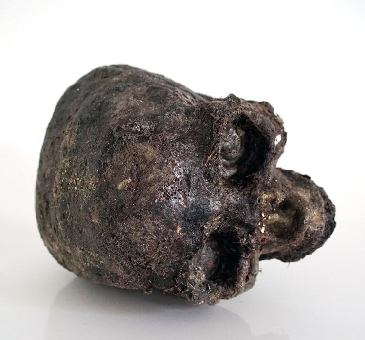 Homo Helveticus 1, 2022