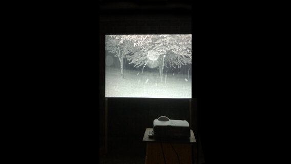 BIENNALE Kulturort Weiertal «Paradise, lost»