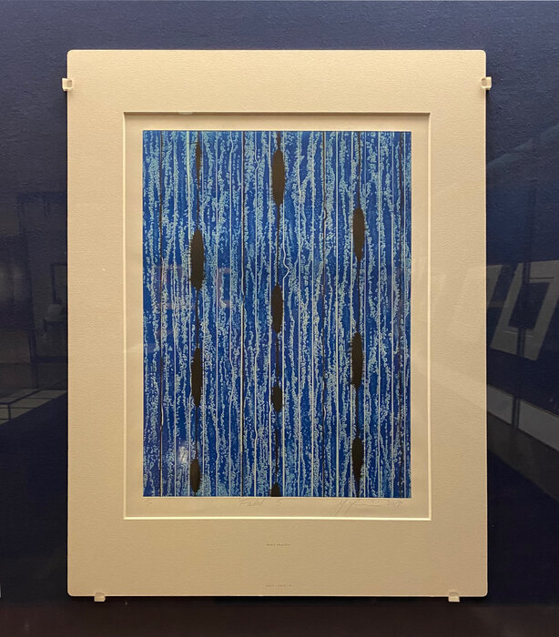 Contemporary collecting David Hockney to Cornelia Parker