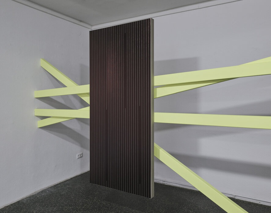  ANNA KOLODZIEJSKA und HERBERT HINTEREGGER