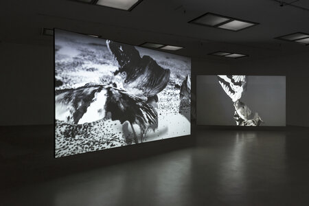 Notes from a Flickering Stage