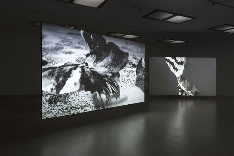 Notes from a Flickering Stage