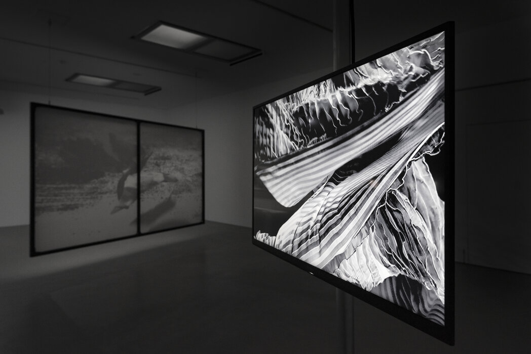 Notes from a Flickering Stage