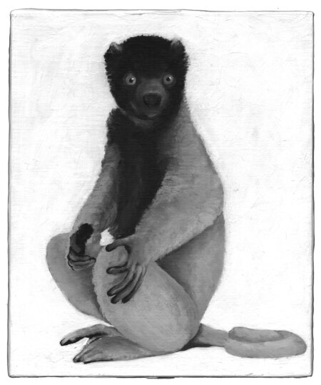 Detected Dictionary (Makake)