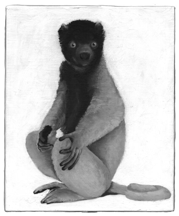 Detected Dictionary (Makake)