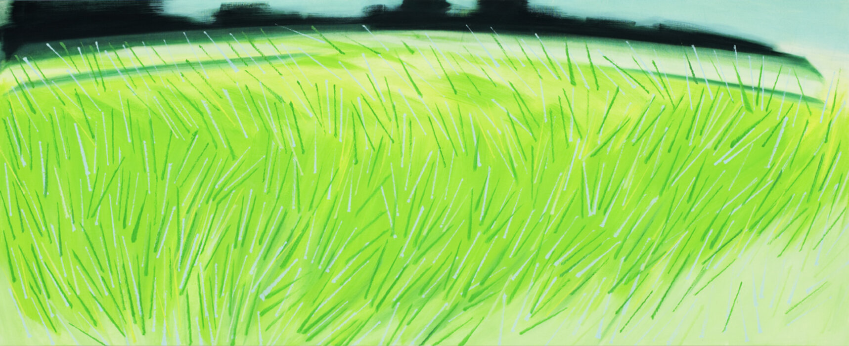 Grass