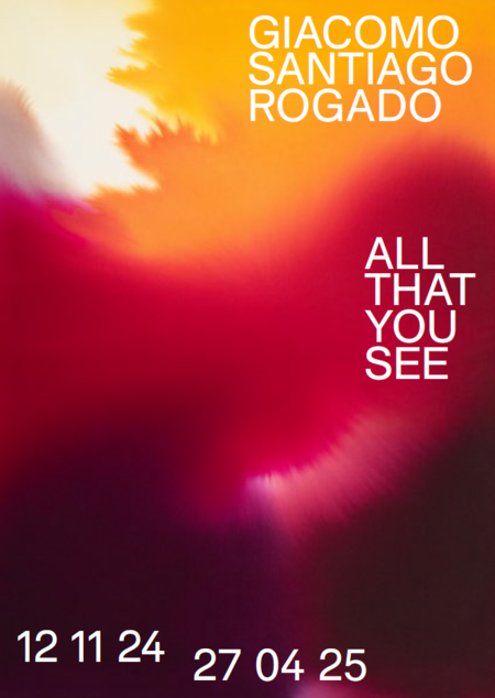 Ausstellung: Giacomo Santiago Rogado - ALL THAT YOU SEE