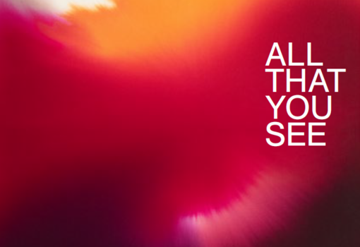 Ausstellung: Giacomo Santiago Rogado - ALL THAT YOU SEE