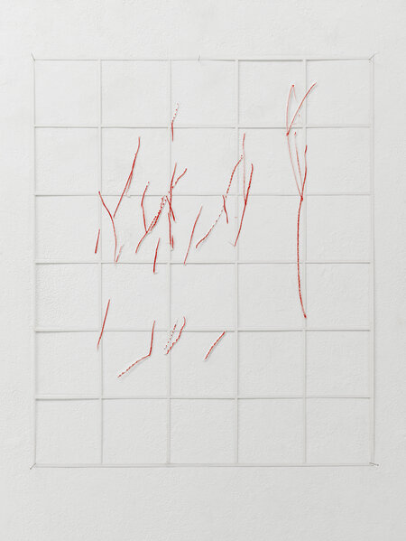 Gitter/Linien