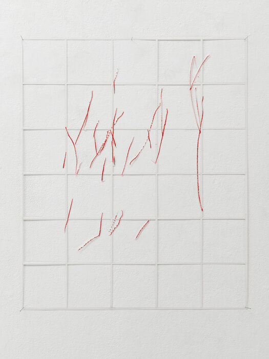 Gitter/Linien