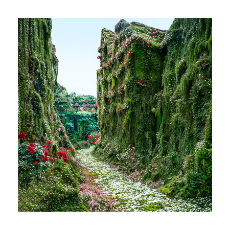 Antik Paradise